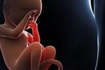 2026年美国做试管婴儿要多少钱(费用5万美元够不够？